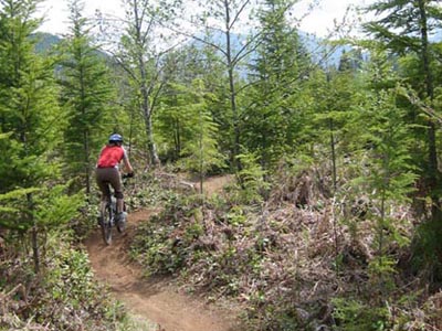 Moutain biking in Squamish
